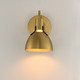 Dusk One Light Wall Sconce (12341SBR)