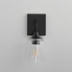 Hudson One Light Wall Sconce (12881CLBK)