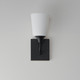 Hudson One Light Wall Sconce (12881SWBK)