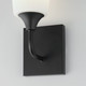 Hudson One Light Wall Sconce (12881SWBK)
