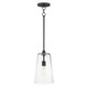Maxim - 12886CLBK - One Light Pendant - Hudson - Black