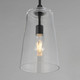 Hudson One Light Pendant (12886CLBK)