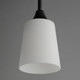 Hudson One Light Pendant (92880SWBK)