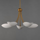 Maris Five Light Chandelier (10825WTNAB)