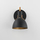 Dusk One Light Wall Sconce (12341BKAB)