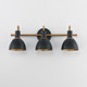 Dusk Three Light Wall Sconce (12343BKAB)