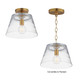 Hudson One Light Pendant (12880CLNAB)