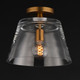 Hudson One Light Pendant (12880CLNAB)