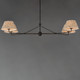 Dunbridge Four Light Chandelier (18414OWANB)