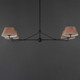 Dunbridge Four Light Chandelier (18414RBANB)