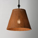 Baja One Light Pendant (21487NADBZ)