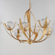 Firenze Six Light Chandelier (28716CRGL)