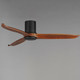 Woodwind 52" Ceiling Fan (88830WTBK)