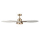 Saltcress 60" Ceiling Fan (F764L-LBR)