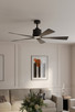 Oovin 54" Ceiling Fan (F766L-CL)