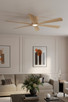 Brisano 65" Ceiling Fan (F785L-WTO)