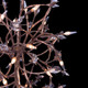 Fiore 16 Light Chandelier (041450-065-FR001)