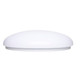 LED Flush Mount (62-1219)