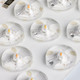 LED Flush Mount (62-1219)