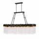 Varaluz - 309N10MBFG - Ten Light Linear Pendant - Matrix - Matte Black/French Gold