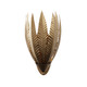 Varaluz - 563W01BK - One Light Wall Sconce - Zanara - Brass Kisser