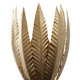 Zanara One Light Wall Sconce (563W01BK)