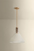 West Hill One Light Pendant (1619-PBR)