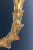 Calumet Four Light Chandelier (6844-AGB)