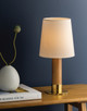 Meadowbrook LED Table Lamp (L4321-AGB)