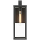 Augusta One Light Outdoor Wall Mount (20153MG-BL/CLR)