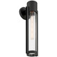 Coastal LED Outdoor Wall Mount (20116LEDDMGLP-BL/CLR)