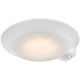 Ace MS LED Flush Mount (20991LEDDMSCS-WH/ACR)