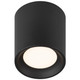 Bongo LED Flush Mount (29291LEDDCS-BL/ACR)