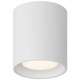 Bongo LED Flush Mount (29291LEDDCS-WH/ACR)
