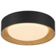 Maddy LED Flush Mount (49910LEDDCS-MBL/ACR)
