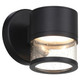 Ari Seedy LED Outdoor Wall Mount (23030LEDDMG-BL/SDG)