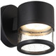 Ari Seedy LED Outdoor Wall Mount (23030LEDDMG-BL/SDG)