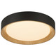 Maddy LED Flush Mount (49911LEDDCS-MBL/ACR)