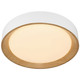 Maddy LED Flush Mount (49911LEDDCS-MWH/ACR)