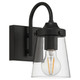 Dickens One Light Wall Sconce (62021-BL/CLR)