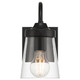 Dickens One Light Wall Sconce (62021-BL/CLR)
