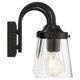 Dickens Three Light Vanity (62023-BL/CLR)