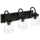 Dickens Three Light Vanity (62023-BL/CLR)
