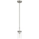 Lily One Light Pendant (62309-BS/CLR)