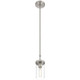 Lily One Light Pendant (62309-BS/CLR)