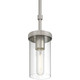 Lily One Light Pendant (62309-BS/CLR)