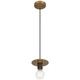 Central LED Pendant (62338-AB)