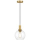 Chantelle One Light Pendant (63090-ABB/CLR)