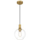 Chantelle One Light Pendant (63090-ABB/CLR)