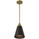 Dahlia One Light Pendant (63098-ABB/BLK)